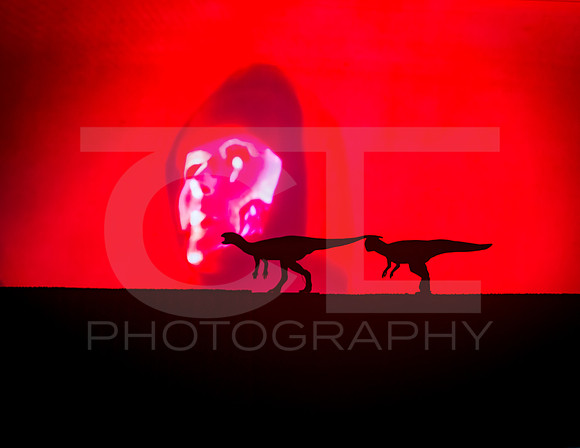_MTS3042
