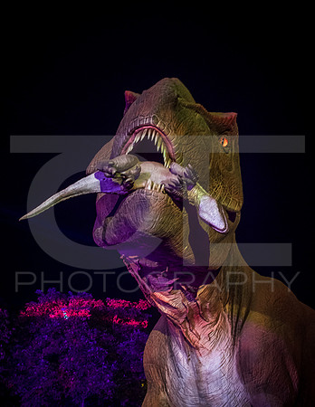 _MTS2568