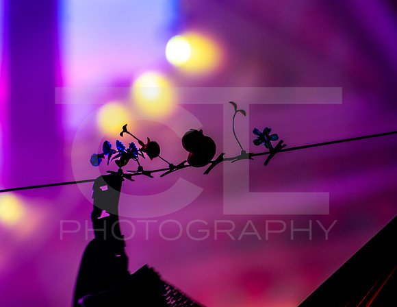 _MTS2901